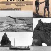 Shaped By The Sea