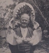 Shark!