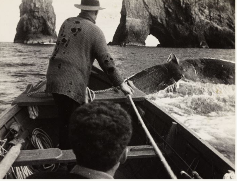 Whangamumum whaling boat