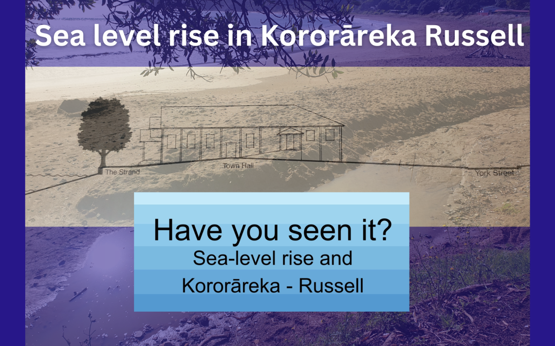 Sea Level Rise poster